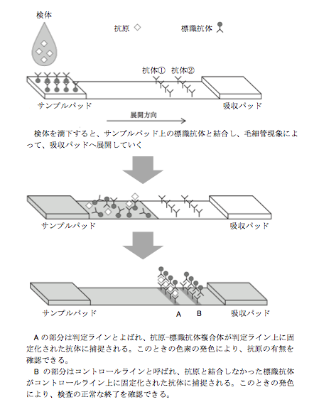 解説画像
